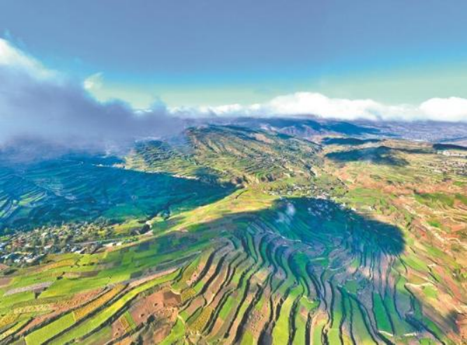 0834574275418597.png 1453.png