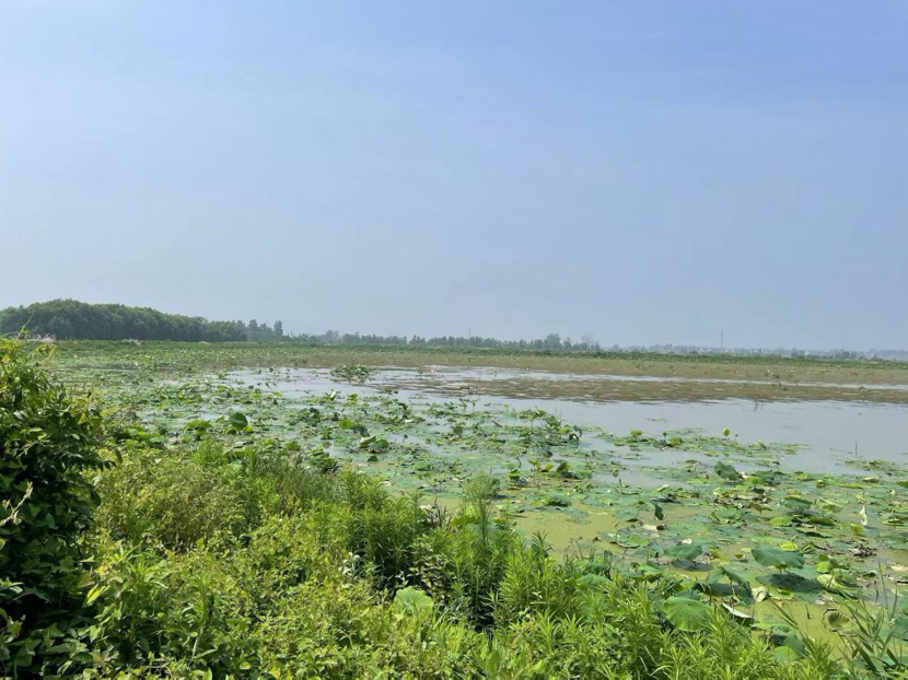 1713259669951952.png image.png