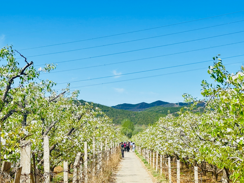 1713331705877401.png image.png