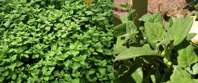 1713518130306283.png image.png