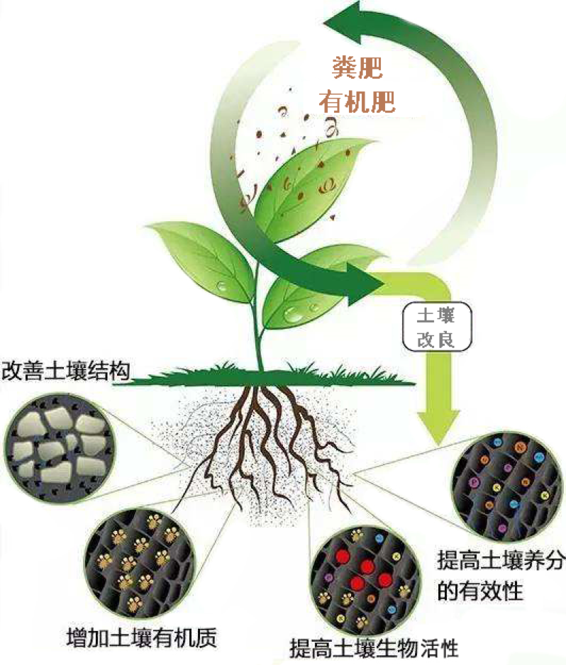 1713518459617660.png image.png