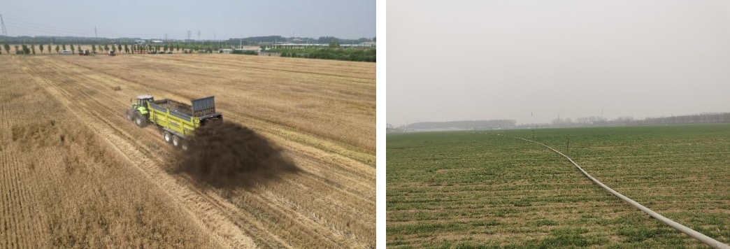 1713518547681338.png image.png