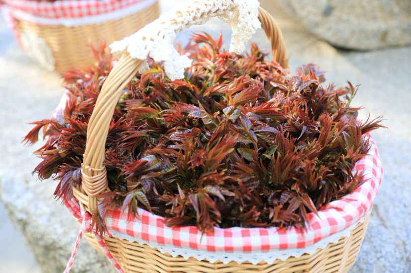 1713518789386990.png image.png