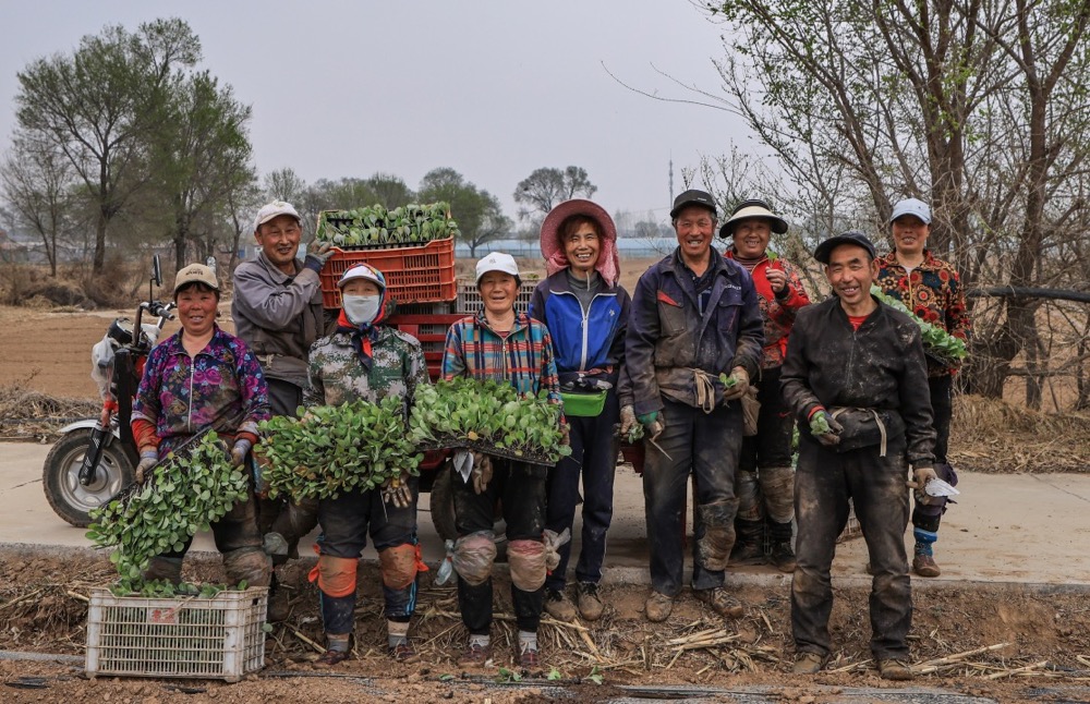 1713519215213084.png image.png