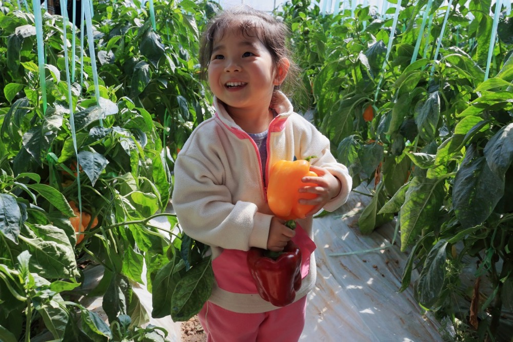 1713519273204316.png image.png