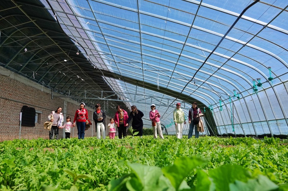 1713519296336713.png image.png