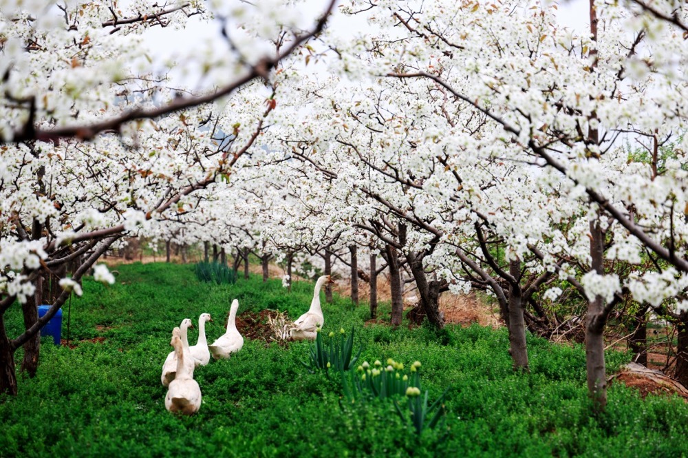 1713519351305020.png image.png