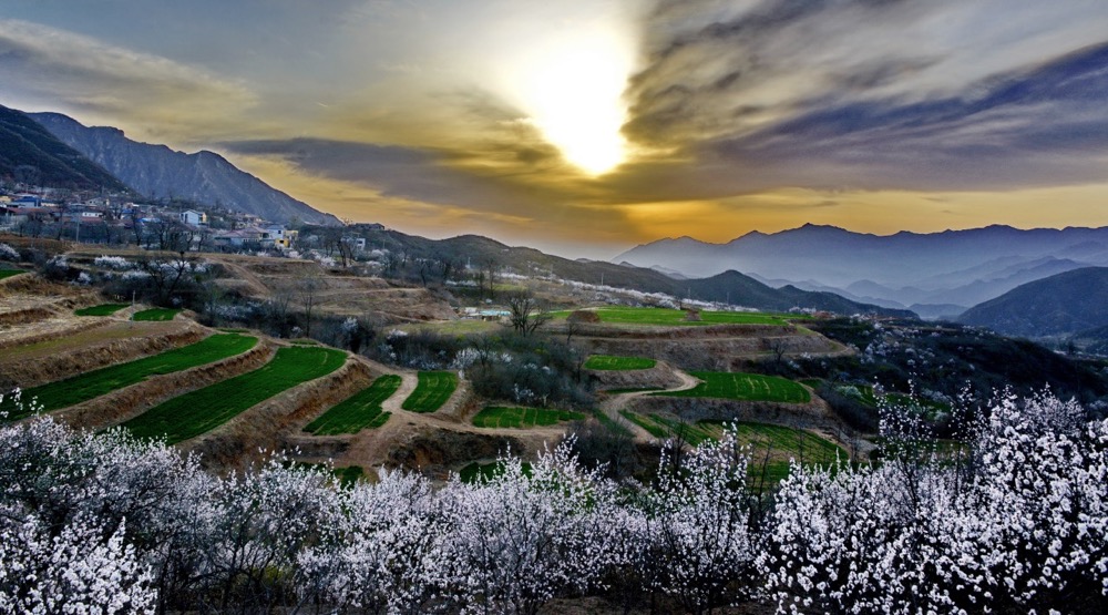 1713519485692404.png image.png