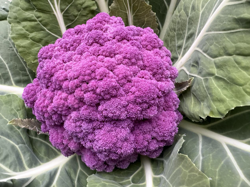 1713519613897735.png image.png