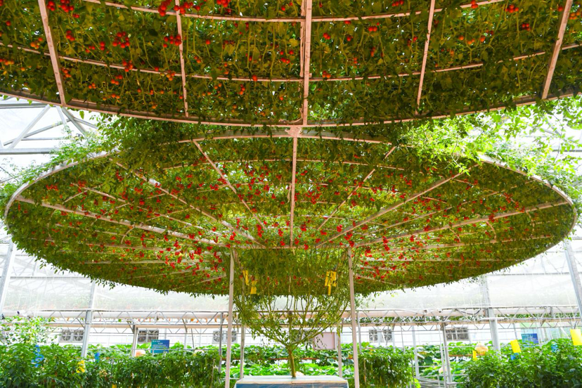 1713600356257145.png image.png