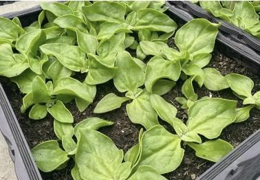 1713770109118501.png image.png