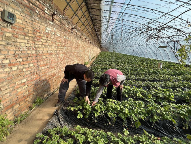 1713860366923858.png image.png