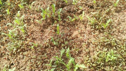 1713860740348027.png image.png