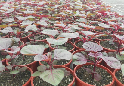 1713860760854487.png image.png