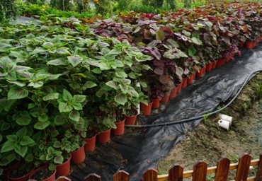 1713860793896204.png image.png