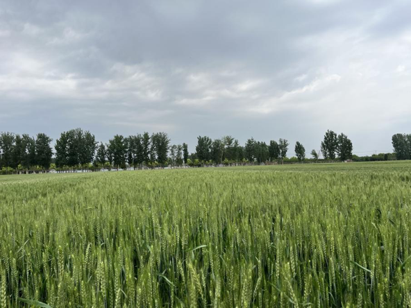 1714019595533743.png image.png