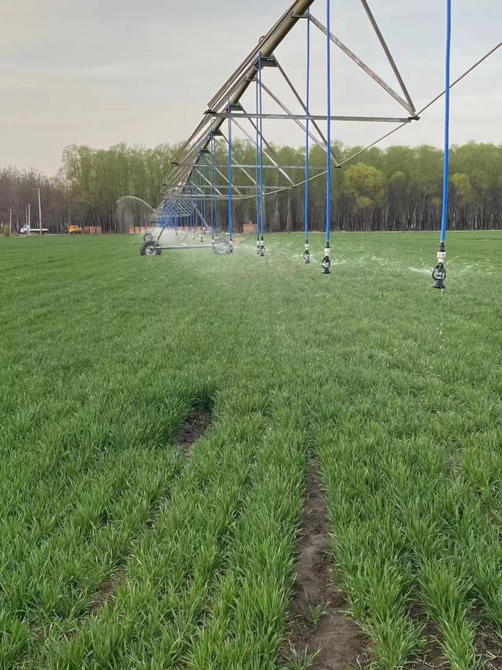 1714019609932208.png image.png