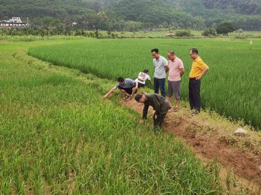 1714053825456302.png image.png