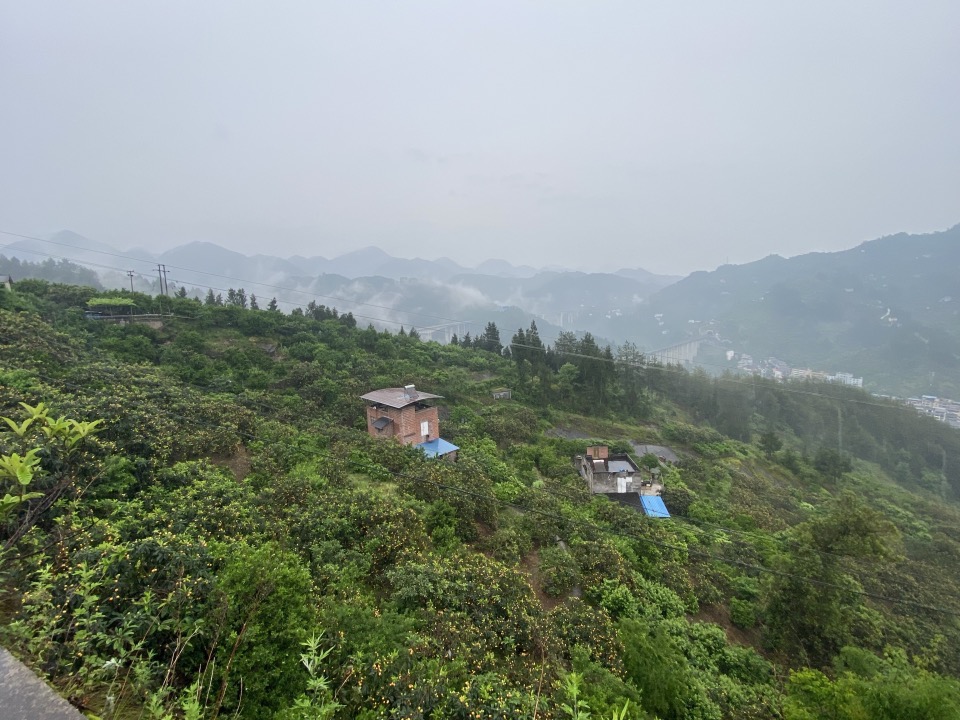 1714362804800322.png image.png