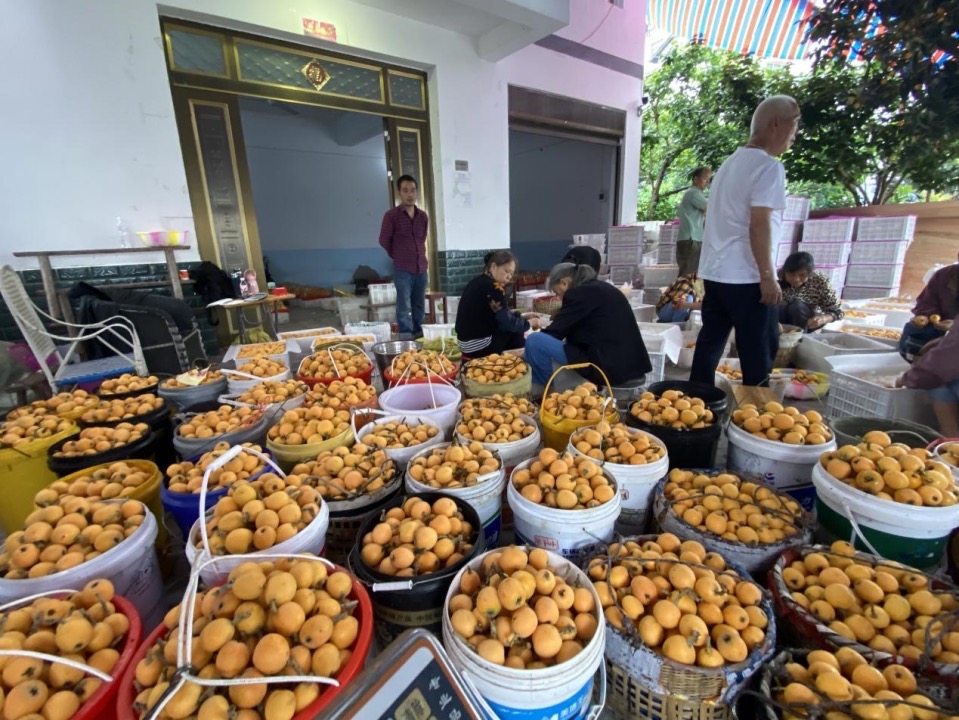 1714362852363085.png image.png