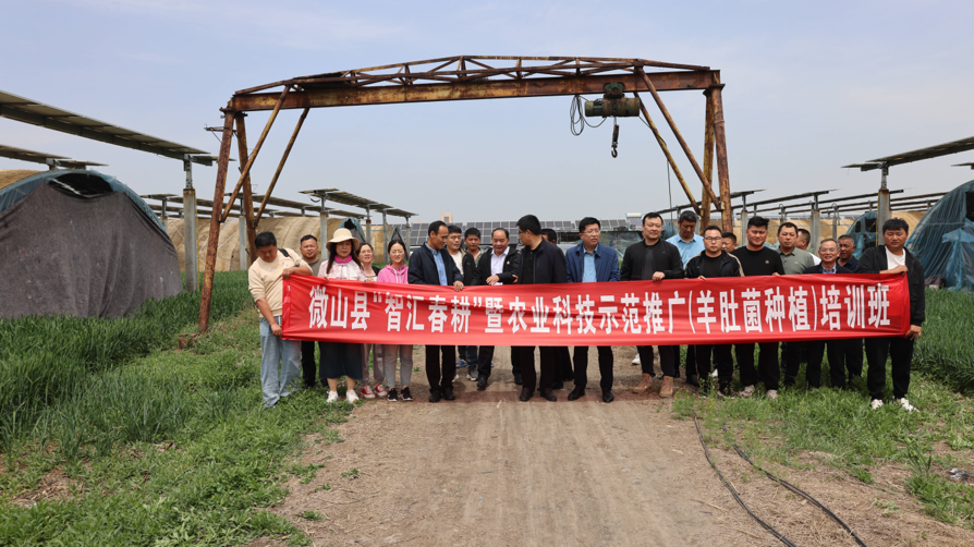 1714458196824876.png image.png