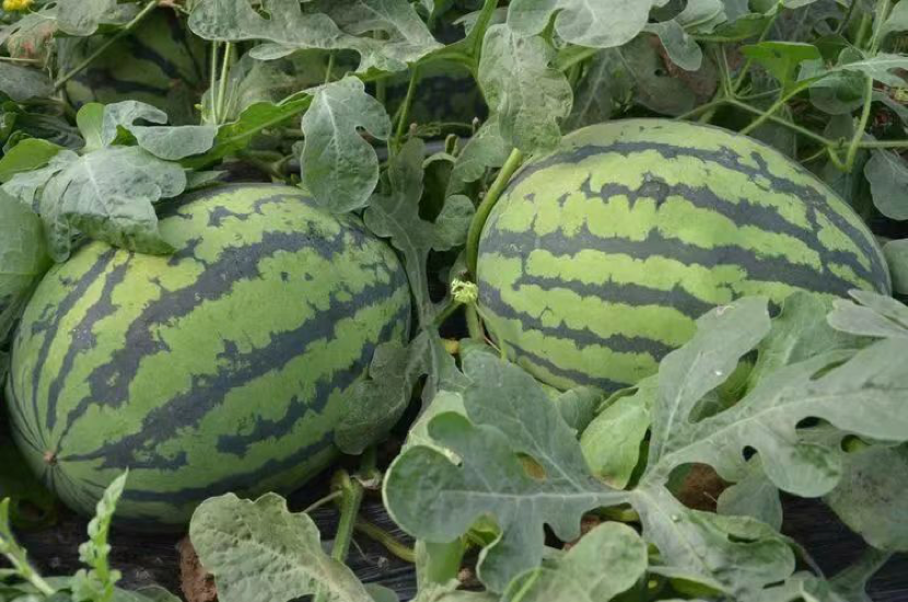 1714472614440822.png image.png