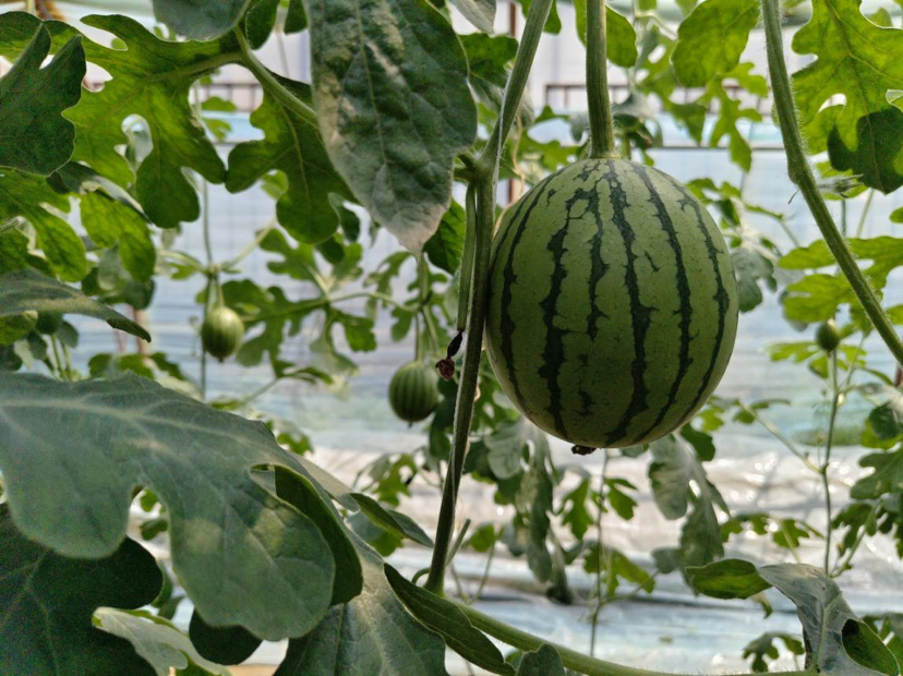 1714472659721904.png image.png