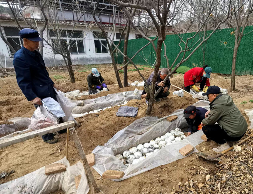 1714618369307090.png image.png