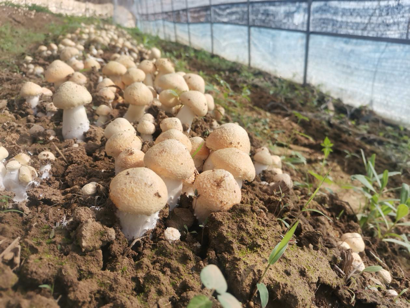 1714618380751660.png image.png