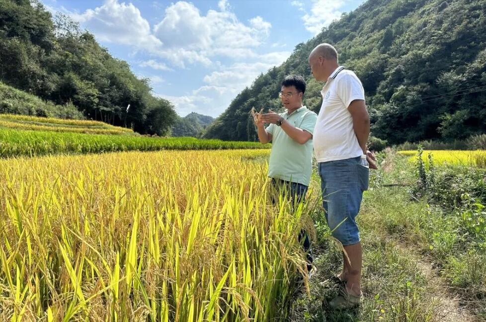 1715070410576503.jpg QQ截图20240507162604.jpg